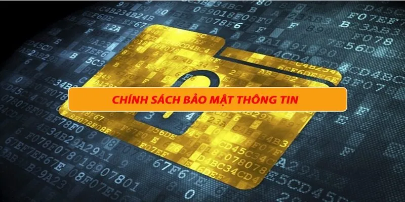 Trách nhiệm và quyền lợi của thành viên tại chính sách bảo mật