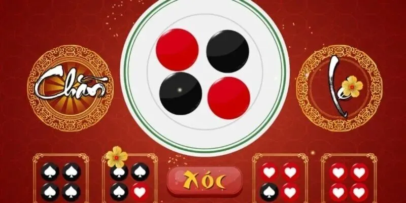 Khả năng và kinh nghiệm làm việc của Minh Tú